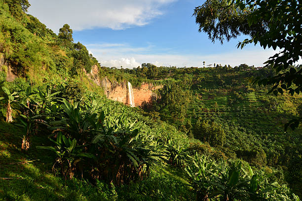 Mbale