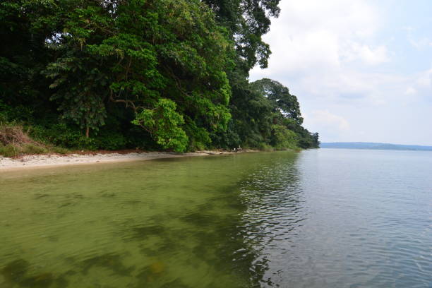 Ssese Islands
